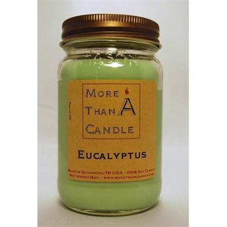 MORE THAN A CANDLE More Than A Candle ELP16M 16 oz Mason Jar Soy Candle; Eucalyptus ELP16M